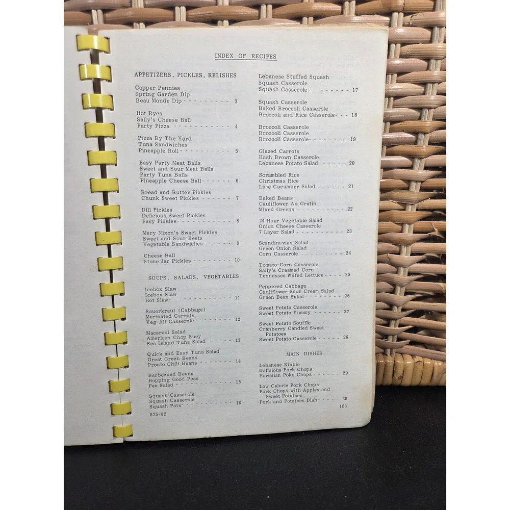 Vintage Catawba‎ County North Carolina Cookbook Handicapped Children 1982